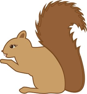 modified squirrel