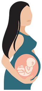 Pregnant Woman With See Through Belly Illustration