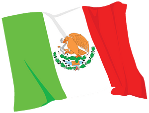 Mexico Flag In The Wind