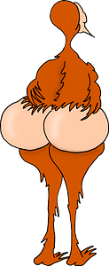 Bare Bottom Bird
