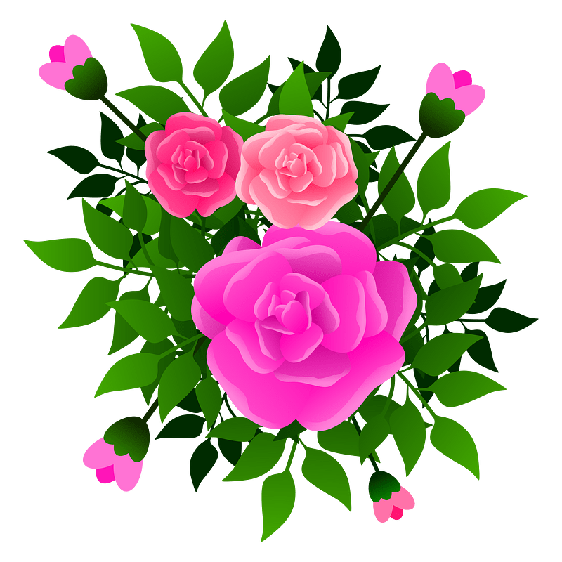 roses 130120191