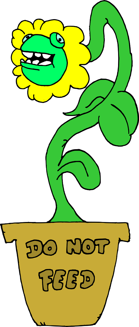 Do Not Feed The Plant