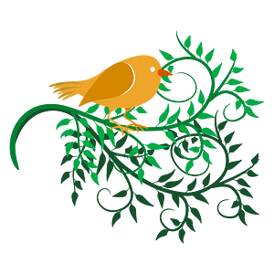 bird040120193