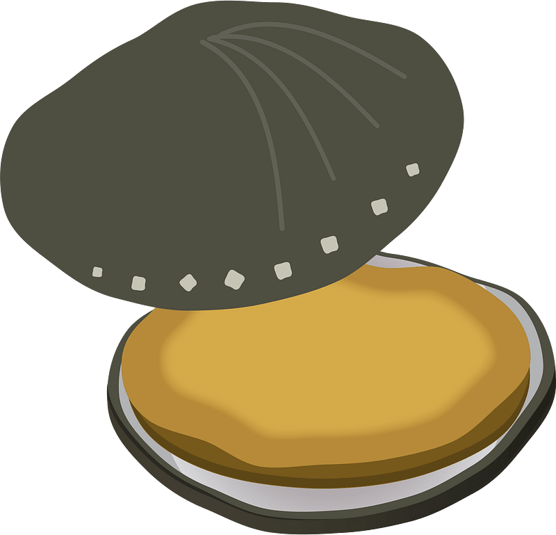 Abalone shellfish