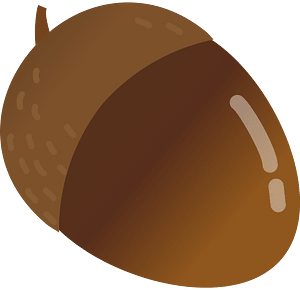 Acorn