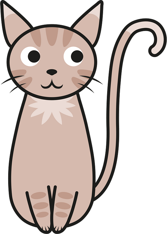 Animal cat