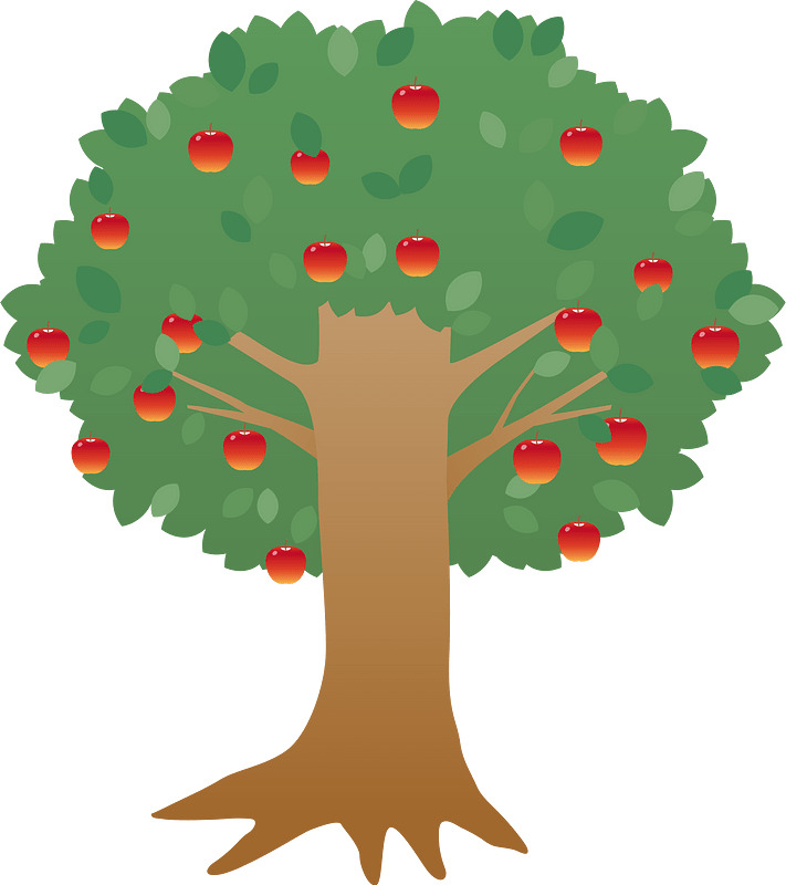 Apple tree