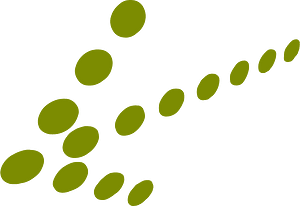Arrow set