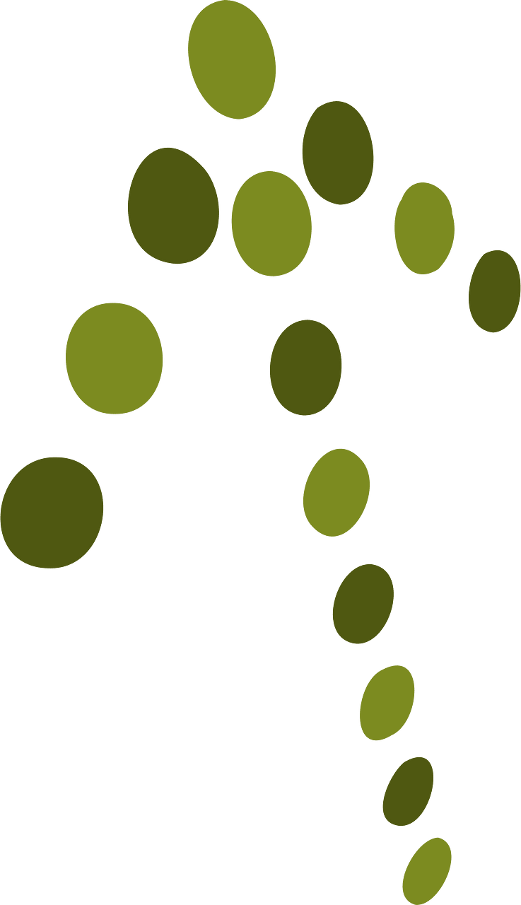 Arrow set