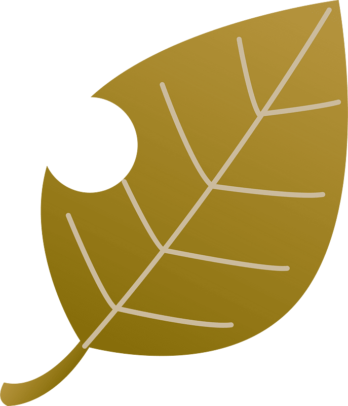 Autumn leaf