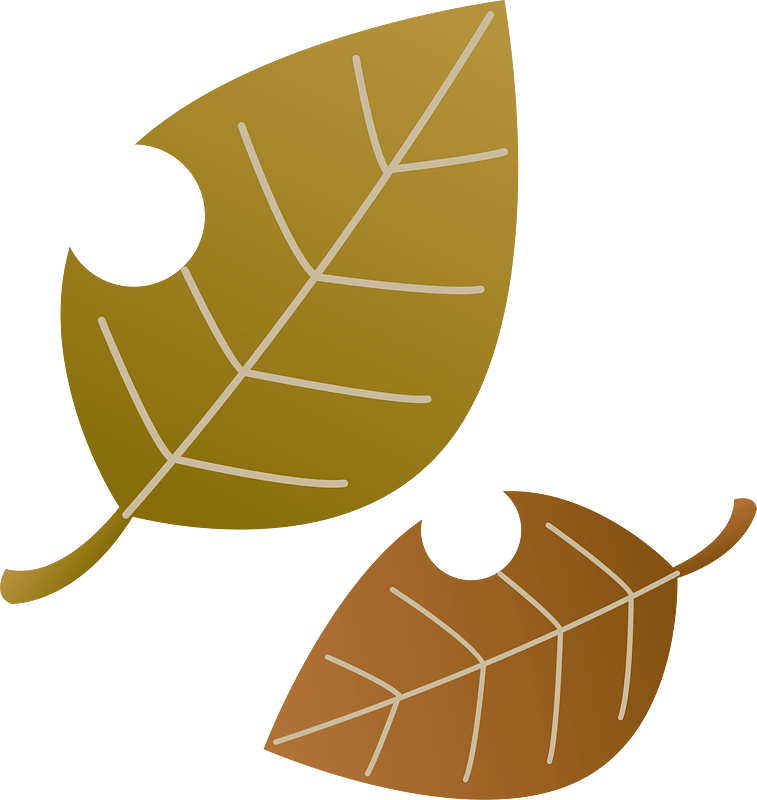 Autumn leaves