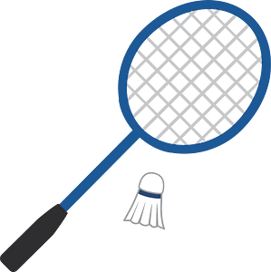Badminton sports