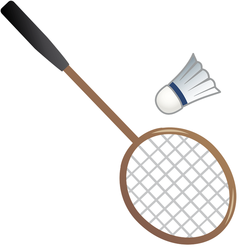 Badminton sports