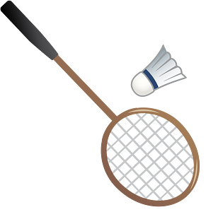 Badminton sports