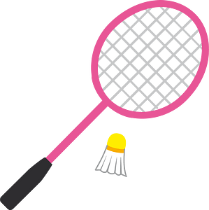Badminton sports