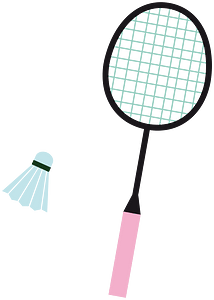 Badminton sports