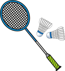 Badminton sports