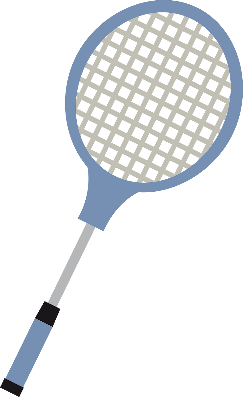 Badminton sports