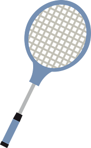 Badminton sports