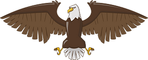 Bald eagle coat of arms