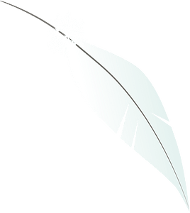 Ballerina feather