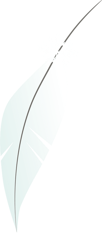 Ballerina feather