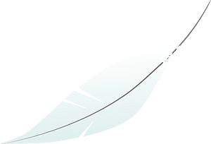 Ballerina feather
