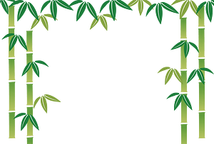 Bamboo frame