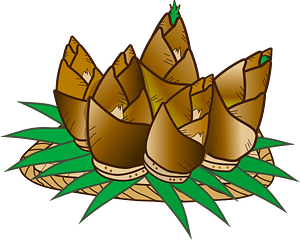 Bamboo shoot