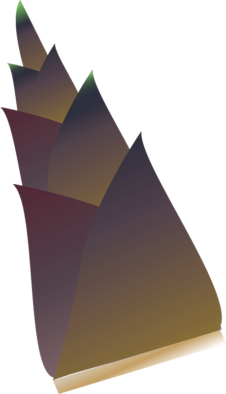 Bamboo shoot