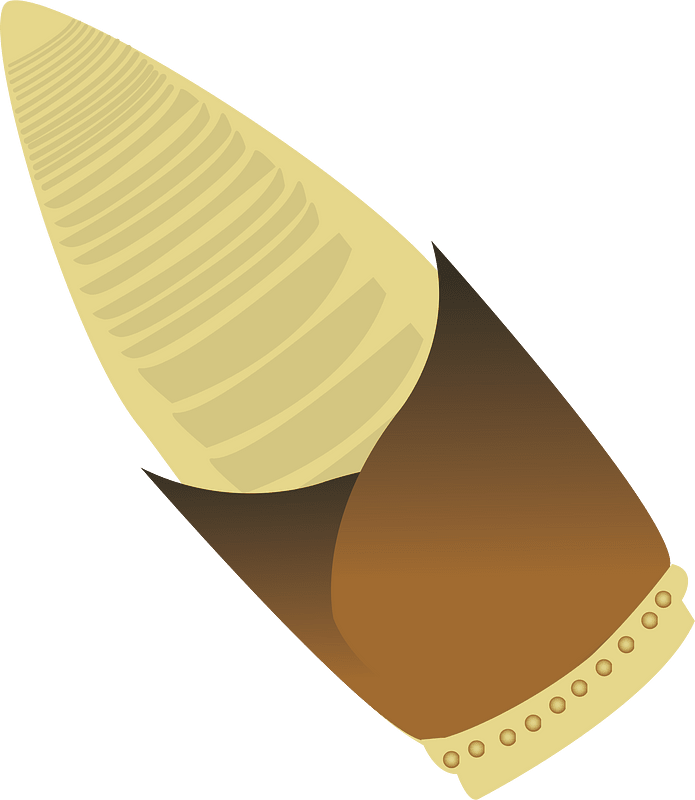 Bamboo shoot
