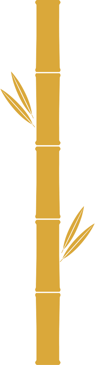 Bamboo stick