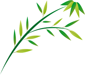 Bambu