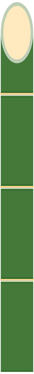 竹