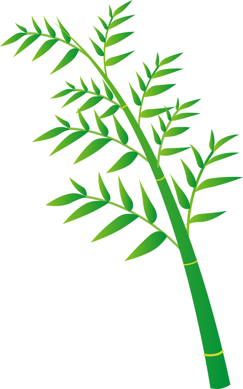 竹