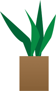 Potted plant