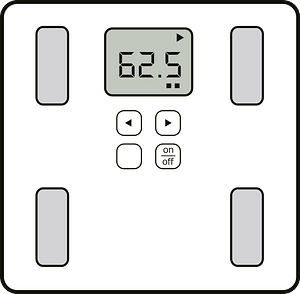Bathroom scale