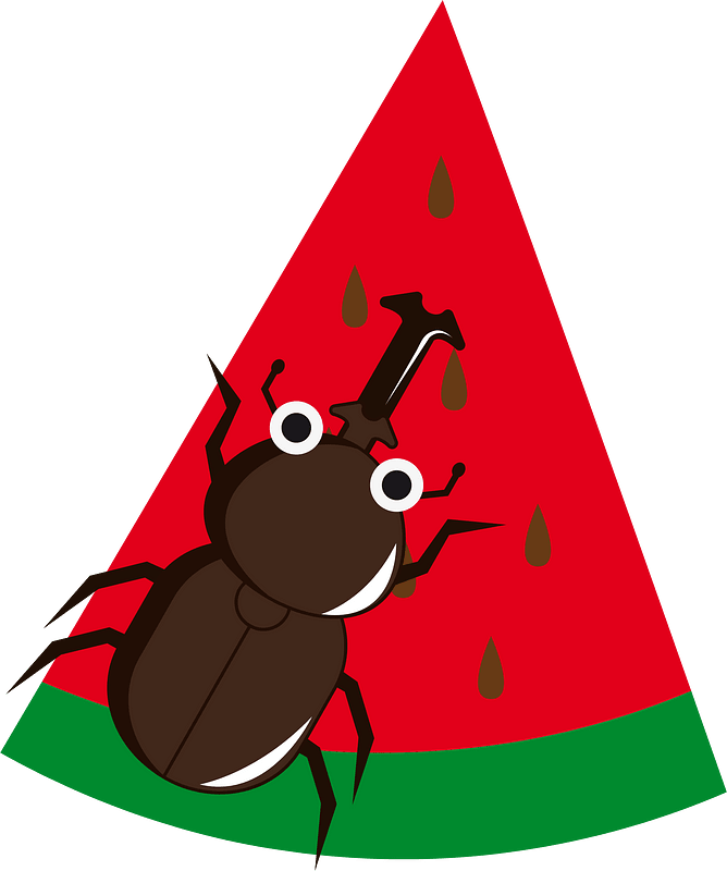 Beetle insect
