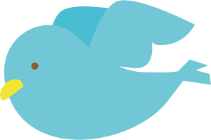Bird blue