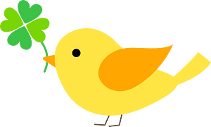 Bird clover