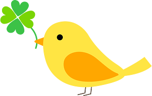 Bird clover