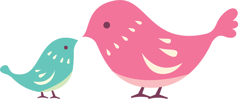 Birds