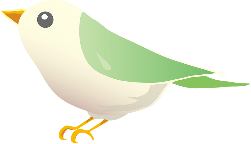 鸟