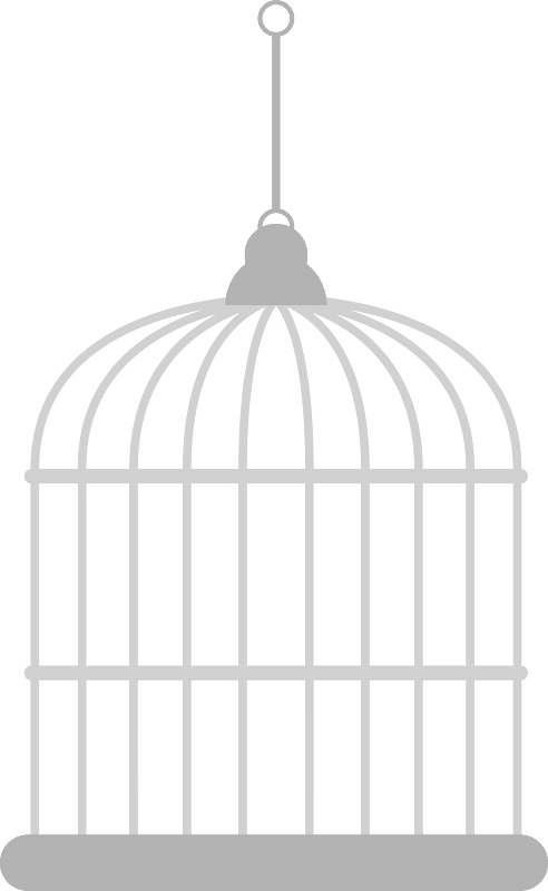 Birdcage bird
