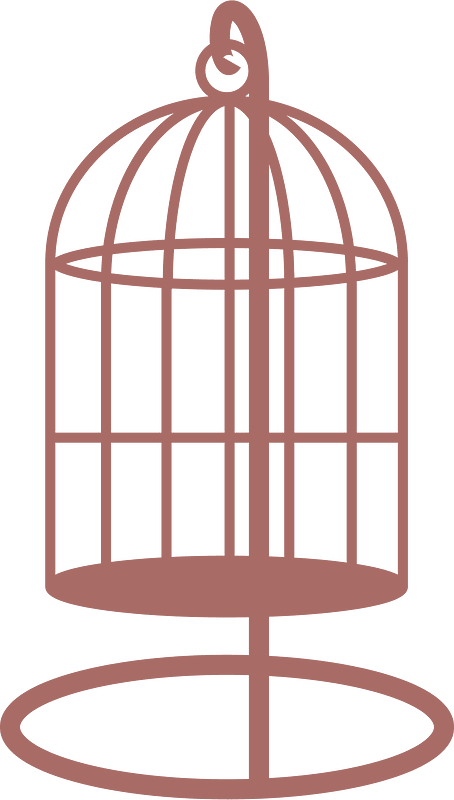 Birdcage bird