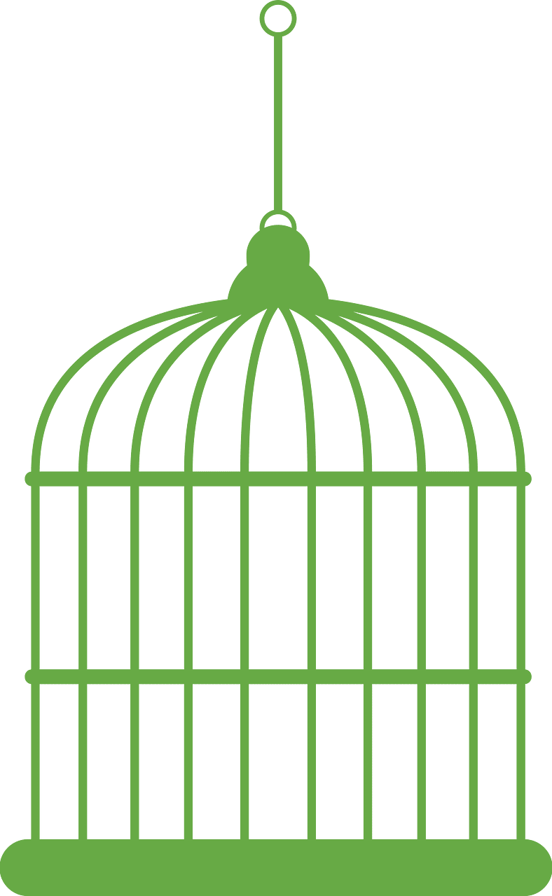 Birdcage bird