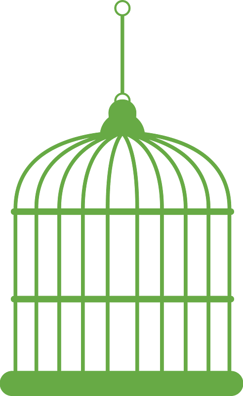 Birdcage bird