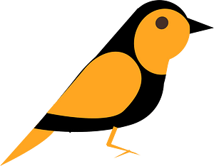 鸟