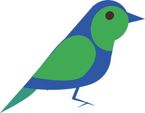 Birds animal