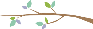 Birds branch